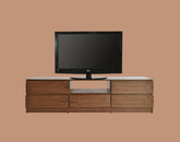 Linear TV Unit